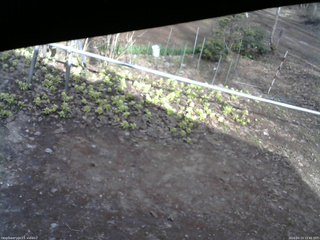 長野県菅平高原 ゆたか山荘 駐車場 2026/04/13 15:45