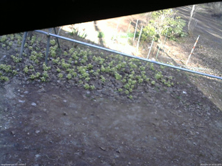 長野県菅平高原 ゆたか山荘 駐車場 2026/04/13 16:15