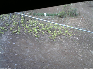 長野県菅平高原 ゆたか山荘 駐車場 2026/04/13 17:15