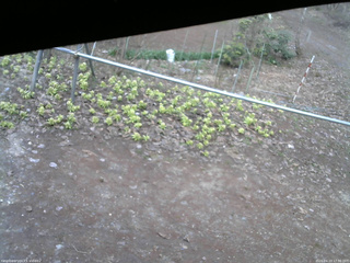 長野県菅平高原 ゆたか山荘 駐車場 2026/04/13 17:30