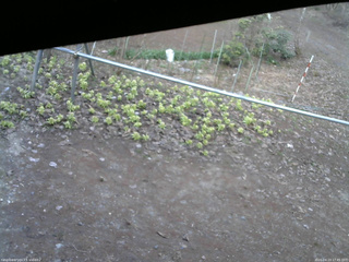 長野県菅平高原 ゆたか山荘 駐車場 2026/04/13 17:45