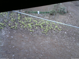 長野県菅平高原 ゆたか山荘 駐車場 2026/04/13 18:15