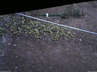 長野県菅平高原 ゆたか山荘 駐車場 2026/04/13 18:30