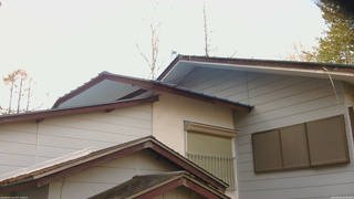 長野県菅平高原 ゆたか山荘 駐車場奥 2026/04/13 16:45