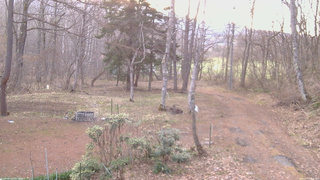 長野県菅平高原 ゆたか山荘 坂上 2026/04/13 05:45