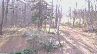 長野県菅平高原 ゆたか山荘 坂上 2026/04/13 06:15