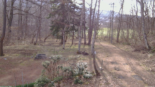 長野県菅平高原 ゆたか山荘 坂上 2026/04/13 07:00
