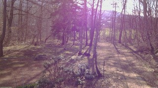長野県菅平高原 ゆたか山荘 坂上 2026/04/13 07:30