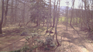 長野県菅平高原 ゆたか山荘 坂上 2026/04/13 07:45