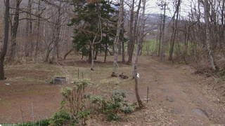 長野県菅平高原 ゆたか山荘 坂上 2026/04/13 10:00