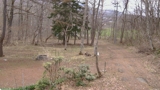 長野県菅平高原 ゆたか山荘 坂上 2026/04/13 10:15