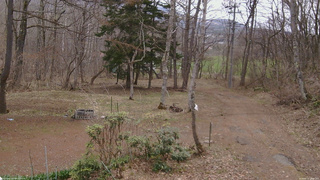 長野県菅平高原 ゆたか山荘 坂上 2026/04/13 10:30