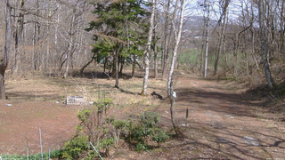 長野県菅平高原 ゆたか山荘 坂上 2026/04/13 13:15