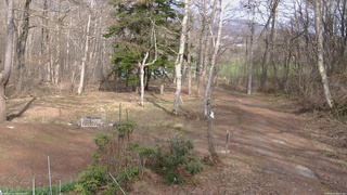 長野県菅平高原 ゆたか山荘 坂上 2026/04/13 15:15