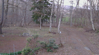 長野県菅平高原 ゆたか山荘 坂上 2026/04/13 18:15