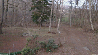 長野県菅平高原 ゆたか山荘 坂上 2026/04/13 18:30