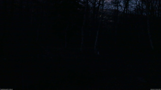 長野県菅平高原 ゆたか山荘 坂上 2026/04/13 18:45