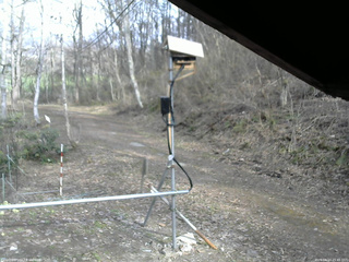 長野県菅平高原 ゆたか山荘 南側 2026/04/14 15:45