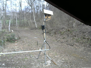 長野県菅平高原 ゆたか山荘 南側 2026/04/14 16:00