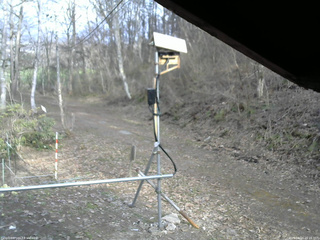 長野県菅平高原 ゆたか山荘 南側 2026/04/14 16:15