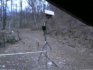 長野県菅平高原 ゆたか山荘 南側 2026/04/14 18:15