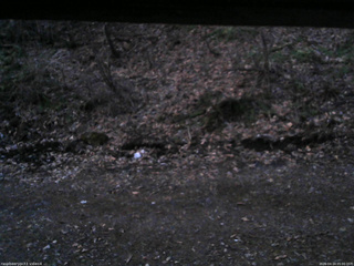 長野県菅平高原 ゆたか山荘 東側(坂下) 2026/04/14 05:00