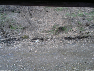 長野県菅平高原 ゆたか山荘 東側(坂下) 2026/04/14 05:15