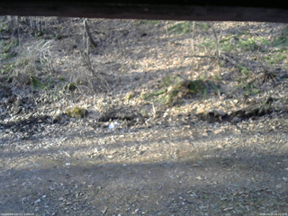 長野県菅平高原 ゆたか山荘 東側(坂下) 2026/04/14 06:15