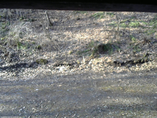 長野県菅平高原 ゆたか山荘 東側(坂下) 2026/04/14 06:30