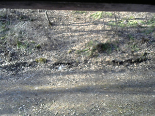 長野県菅平高原 ゆたか山荘 東側(坂下) 2026/04/14 06:45