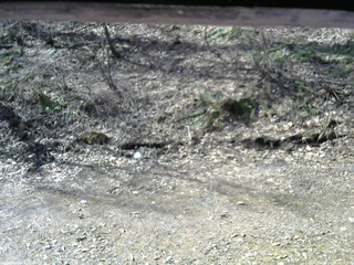 長野県菅平高原 ゆたか山荘 東側(坂下) 2026/04/14 08:15