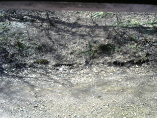 長野県菅平高原 ゆたか山荘 東側(坂下) 2026/04/14 08:30