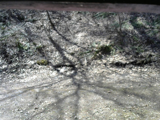 長野県菅平高原 ゆたか山荘 東側(坂下) 2026/04/14 09:45