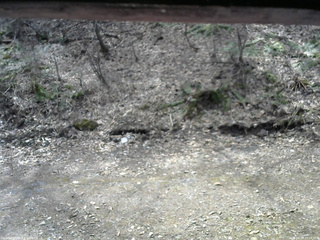 長野県菅平高原 ゆたか山荘 東側(坂下) 2026/04/14 10:15