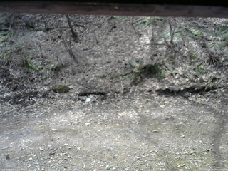 長野県菅平高原 ゆたか山荘 東側(坂下) 2026/04/14 10:30