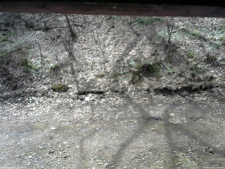 長野県菅平高原 ゆたか山荘 東側(坂下) 2026/04/14 11:00