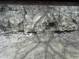 長野県菅平高原 ゆたか山荘 東側(坂下) 2026/04/14 11:15