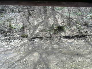 長野県菅平高原 ゆたか山荘 東側(坂下) 2026/04/14 11:30