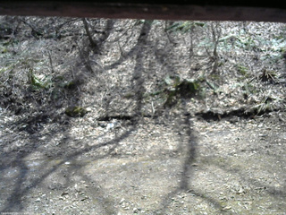 長野県菅平高原 ゆたか山荘 東側(坂下) 2026/04/14 12:00