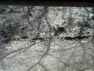 長野県菅平高原 ゆたか山荘 東側(坂下) 2026/04/14 12:15