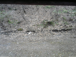 長野県菅平高原 ゆたか山荘 東側(坂下) 2026/04/14 13:00