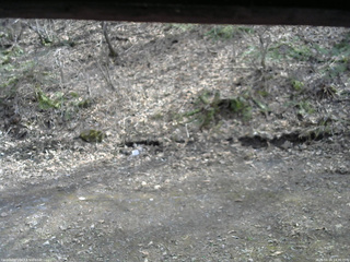 長野県菅平高原 ゆたか山荘 東側(坂下) 2026/04/14 14:30
