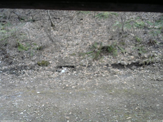 長野県菅平高原 ゆたか山荘 東側(坂下) 2026/04/14 15:30