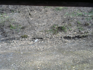 長野県菅平高原 ゆたか山荘 東側(坂下) 2026/04/14 15:45