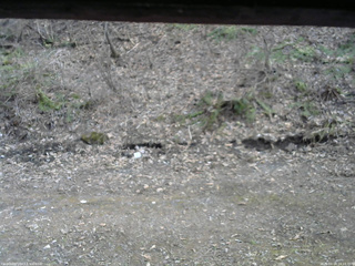 長野県菅平高原 ゆたか山荘 東側(坂下) 2026/04/14 16:15