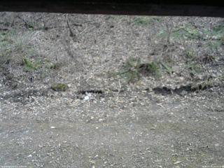 長野県菅平高原 ゆたか山荘 東側(坂下) 2026/04/14 16:30