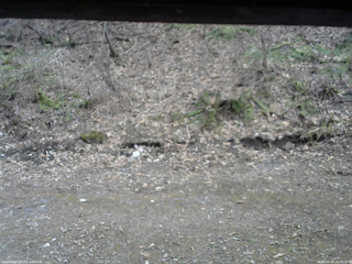 長野県菅平高原 ゆたか山荘 東側(坂下) 2026/04/14 16:45