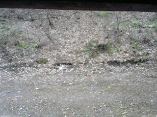 長野県菅平高原 ゆたか山荘 東側(坂下) 2026/04/14 17:00