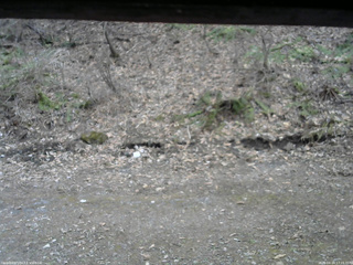 長野県菅平高原 ゆたか山荘 東側(坂下) 2026/04/14 17:15