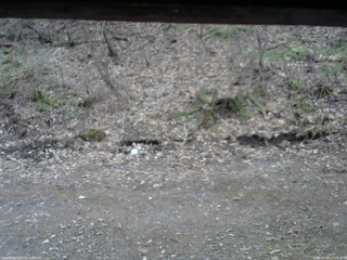 長野県菅平高原 ゆたか山荘 東側(坂下) 2026/04/14 17:45